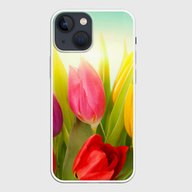 Чехол для iPhone 13 mini с принтом Тюльпаны в Новосибирске,  |  | бабушке | девочке | девушке | дочке | желтые цветы | женщине | маме | подруге | природа | розовые цветы | розы | сестре | теще | тюльпаны | цветы