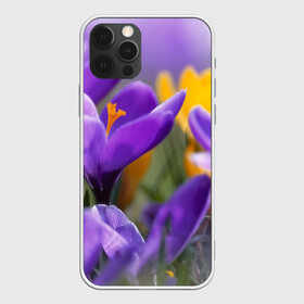 Чехол для iPhone 12 Pro с принтом Фиолетовые цветы в Новосибирске, силикон | область печати: задняя сторона чехла, без боковых панелей | бабушке | девочке | девушке | дочке | желтые цветы | женщине | маме | подруге | природа | розовые цветы | розы | сестре | теще | тюльпаны | цветы