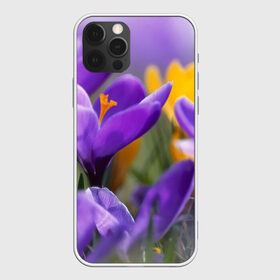Чехол для iPhone 12 Pro Max с принтом Фиолетовые цветы в Новосибирске, Силикон |  | Тематика изображения на принте: бабушке | девочке | девушке | дочке | желтые цветы | женщине | маме | подруге | природа | розовые цветы | розы | сестре | теще | тюльпаны | цветы