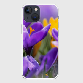 Чехол для iPhone 13 mini с принтом Фиолетовые цветы в Новосибирске,  |  | бабушке | девочке | девушке | дочке | желтые цветы | женщине | маме | подруге | природа | розовые цветы | розы | сестре | теще | тюльпаны | цветы