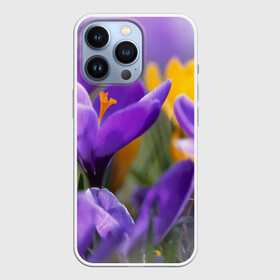Чехол для iPhone 13 Pro с принтом Фиолетовые цветы в Новосибирске,  |  | бабушке | девочке | девушке | дочке | желтые цветы | женщине | маме | подруге | природа | розовые цветы | розы | сестре | теще | тюльпаны | цветы