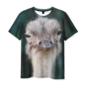 Мужская футболка 3D с принтом Подозрительный страус в Новосибирске, 100% полиэфир | прямой крой, круглый вырез горловины, длина до линии бедер | lol | глаза | голова | детям | животные | зеленая | лол | подарок | подмигивает | подозрительно | прикольная | природа | смешная | страус | эмоции | юмор