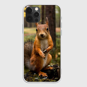 Чехол для iPhone 12 Pro Max с принтом Белочка в Новосибирске, Силикон |  | белка | веселая | весна | глаза | грызун | деревья | зверек | зверь | зеленая | зелень | классная | лес | лето | новинка | осень | пенек | позирует | прикольная | природа | пушистая | рыжая | семечки | фото