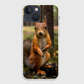 Чехол для iPhone 13 mini с принтом Белочка в Новосибирске,  |  | белка | веселая | весна | глаза | грызун | деревья | зверек | зверь | зеленая | зелень | классная | лес | лето | новинка | осень | пенек | позирует | прикольная | природа | пушистая | рыжая | семечки | фото