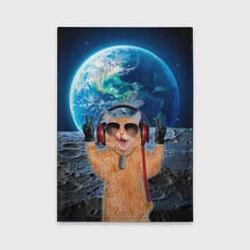 Обложка для автодокументов с принтом Кот на луне в Новосибирске, натуральная кожа |  размер 19,9*13 см; внутри 4 больших “конверта” для документов и один маленький отдел — туда идеально встанут права | cat | астрономия | в космосе | в наушниках | в очках | грозовой кошак | животные | звезды | земля | илон маск | космическая | космонавт | космос | кот | котейка | котики | луна | луноход | на фоне земли