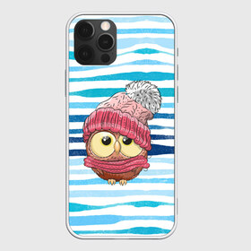 Чехол для iPhone 12 Pro Max с принтом Сова в шапке в Новосибирске, Силикон |  | Тематика изображения на принте: глазастик | звездочки | зима | зимняя | лапки | маленькая | милая | милый | птенец | птичка | пушистик | сердечки | сова | совенок | совушка | шапка