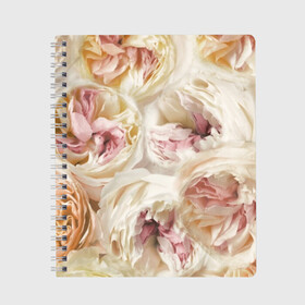 Тетрадь с принтом Нежные Пионы в Новосибирске, 100% бумага | 48 листов, плотность листов — 60 г/м2, плотность картонной обложки — 250 г/м2. Листы скреплены сбоку удобной пружинной спиралью. Уголки страниц и обложки скругленные. Цвет линий — светло-серый
 | букет | красивый | милый | пион | роза | розовый | розочка | свадебный | флористика | цветок | цветы