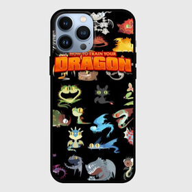 Чехол для iPhone 13 Pro Max с принтом How to Train Your Dragon в Новосибирске,  |  | dragon | how | to train | your | астрид | беззубик | викинги | всадник | дракон | как | ночная | олух | приручить | фурия | фэнтези