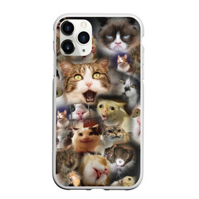 Чехол для iPhone 11 Pro Max матовый с принтом Те самые коты в Новосибирске, Силикон |  | Тематика изображения на принте: грустный кот мем | кот | кот мем | коты | кошка | мем | мем про котов | мемы | мемы с котами