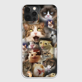 Чехол для iPhone 12 Pro Max с принтом Те самые коты в Новосибирске, Силикон |  | Тематика изображения на принте: грустный кот мем | кот | кот мем | коты | кошка | мем | мем про котов | мемы | мемы с котами
