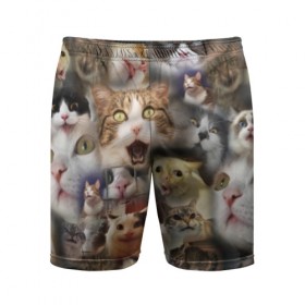 Мужские шорты 3D спортивные с принтом Те самые коты в Новосибирске,  |  | Тематика изображения на принте: грустный кот мем | кот | кот мем | коты | кошка | мем | мем про котов | мемы | мемы с котами