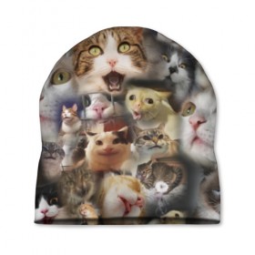 Шапка 3D с принтом Те самые коты в Новосибирске, 100% полиэстер | универсальный размер, печать по всей поверхности изделия | Тематика изображения на принте: грустный кот мем | кот | кот мем | коты | кошка | мем | мем про котов | мемы | мемы с котами