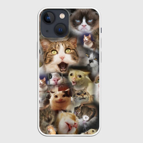 Чехол для iPhone 13 mini с принтом Те самые коты в Новосибирске,  |  | Тематика изображения на принте: грустный кот мем | кот | кот мем | коты | кошка | мем | мем про котов | мемы | мемы с котами