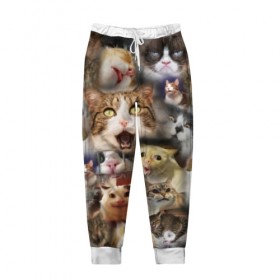 Мужские брюки 3D с принтом Те самые коты в Новосибирске, 100% полиэстер | манжеты по низу, эластичный пояс регулируется шнурком, по бокам два кармана без застежек, внутренняя часть кармана из мелкой сетки | грустный кот мем | кот | кот мем | коты | кошка | мем | мем про котов | мемы | мемы с котами