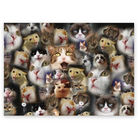 Поздравительная открытка с принтом Те самые коты в Новосибирске, 100% бумага | плотность бумаги 280 г/м2, матовая, на обратной стороне линовка и место для марки
 | грустный кот мем | кот | кот мем | коты | кошка | мем | мем про котов | мемы | мемы с котами