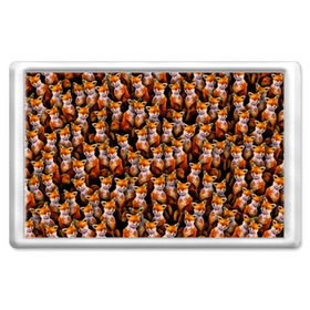 Магнит 45*70 с принтом Упоротые лисы в Новосибирске, Пластик | Размер: 78*52 мм; Размер печати: 70*45 | fox | животные | лис | лиса | лисичка | мем | паттрен | рыжий | толпа | упортый | фыр фыр
