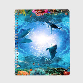 Тетрадь с принтом Дельфины в Новосибирске, 100% бумага | 48 листов, плотность листов — 60 г/м2, плотность картонной обложки — 250 г/м2. Листы скреплены сбоку удобной пружинной спиралью. Уголки страниц и обложки скругленные. Цвет линий — светло-серый
 | fish | аква | аквариум | вода | кораллы | море | океан | ракушки | рыбки | рыбы