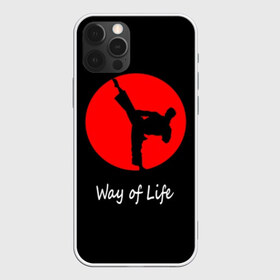 Чехол для iPhone 12 Pro Max с принтом Каратэ в Новосибирске, Силикон |  | eastern | emblem | fighter | font | image | inscri | japanese | karate | kick | life | man | martial arts | red | silhouette | sport | sun | text | wrestling | боец | борьба | единоборства | жизни | каратэ | красное | мужчина | надпись | образ | силуэт | 