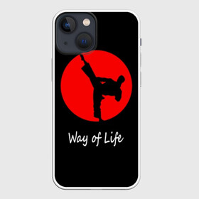 Чехол для iPhone 13 mini с принтом Каратэ в Новосибирске,  |  | eastern | emblem | fighter | font | image | inscri | japanese | karate | kick | life | man | martial arts | red | silhouette | sport | sun | text | wrestling | боец | борьба | единоборства | жизни | каратэ | красное | мужчина | надпись | образ | силуэт | 