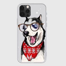 Чехол для iPhone 12 Pro Max с принтом Хаски в Новосибирске, Силикон |  | animal | blue | breed | dog | drawing | eyes | graphic | husky | jaws | knitted | open | ornament | pattern | shawl | snow | winter | вязаный | глаза | голубые | графический | животное | зима | орнамент | открытая | очки | платок | порода | рису