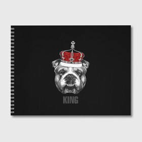 Альбом для рисования с принтом Английский бульдог с короной в Новосибирске, 100% бумага
 | матовая бумага, плотность 200 мг. | Тематика изображения на принте: animals | authority | breed | bulldog | cool | crown | dog | english | fighting | head | illustration | inscription | king | muzzle | supreme | swag | авторитет | английский | бойцовый | бульдог | верховный | голова | животные | иллюстрация | король | кор