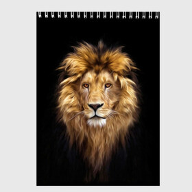 Скетчбук с принтом Лев в Новосибирске, 100% бумага
 | 48 листов, плотность листов — 100 г/м2, плотность картонной обложки — 250 г/м2. Листы скреплены сверху удобной пружинной спиралью | african | animals | authority | big | cat | cool | head | illustration | indisputable | lion | mane | muzzle | supreme | swag | авторитет | африканский | большая | верховный | голова | грива | животные | иллюстрация | кошка | крутой | лев | непрер
