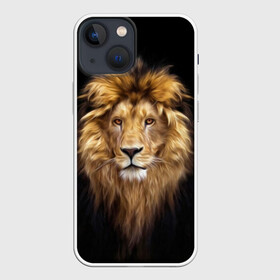 Чехол для iPhone 13 mini с принтом Лев в Новосибирске,  |  | african | animals | authority | big | cat | cool | head | illustration | indisputable | lion | mane | muzzle | supreme | swag | авторитет | африканский | большая | верховный | голова | грива | животные | иллюстрация | кошка | крутой | лев | непрер