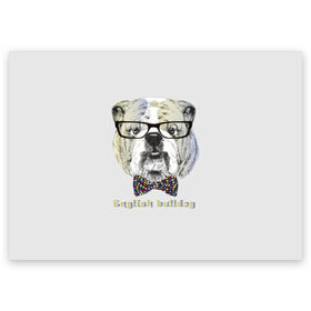 Поздравительная открытка с принтом Английский бульдог в Новосибирске, 100% бумага | плотность бумаги 280 г/м2, матовая, на обратной стороне линовка и место для марки
 | Тематика изображения на принте: animals | breed | bulldog | butterfly | dog | english | fight | gentleman | head | illustration | inscription | muzzle | tie | английский | бабочка | бойцовый | бульдог | галстук | голова | джентльмен | животные | иллюстрация | надпись |