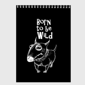 Скетчбук с принтом Born to be wild в Новосибирске, 100% бумага
 | 48 листов, плотность листов — 100 г/м2, плотность картонной обложки — 250 г/м2. Листы скреплены сверху удобной пружинной спиралью | Тематика изображения на принте: angry | animals | authority | b | black and white | bull terrier | bully | cool | dog | fight | illustration | swag | thug | wild | авторитет | бандит | бойцовый | бультерьер | дикий | животные | злой | иллюстрация | крутой | надпись | ошейник | п