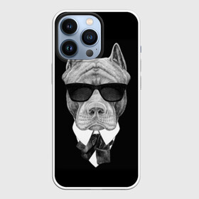 Чехол для iPhone 13 Pro с принтом Питбуль в Новосибирске,  |  | Тематика изображения на принте: animals | black | black and white | cool | dog | fight | gentleman | head | illustration | pitbull | swag | white | авторитет | белая | бойцовый | галстук бабочка | голова | джентльмен | животные | иллюстрация | костюм | крутой | очки | 