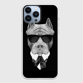 Чехол для iPhone 13 Pro Max с принтом Питбуль в Новосибирске,  |  | Тематика изображения на принте: animals | black | black and white | cool | dog | fight | gentleman | head | illustration | pitbull | swag | white | авторитет | белая | бойцовый | галстук бабочка | голова | джентльмен | животные | иллюстрация | костюм | крутой | очки | 
