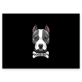 Поздравительная открытка с принтом Стаффордширский терьер в Новосибирске, 100% бумага | плотность бумаги 280 г/м2, матовая, на обратной стороне линовка и место для марки
 | animal | bone | breed | dog | fight | head | inscription | look | muzzle | staffordshire | terrier | бойцовая | взгляд | голова | животное | кость | надпись | порода | собака | стаффордширский | терьер