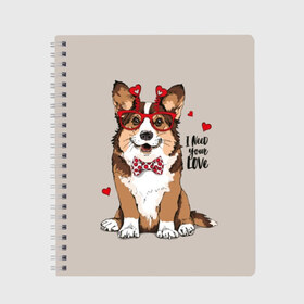 Тетрадь с принтом I need your love в Новосибирске, 100% бумага | 48 листов, плотность листов — 60 г/м2, плотность картонной обложки — 250 г/м2. Листы скреплены сбоку удобной пружинной спиралью. Уголки страниц и обложки скругленные. Цвет линий — светло-серый
 | Тематика изображения на принте: animal | bow tie | breed | corgi | cute | dog | funny | hearts | holiday | pembroke | polka dot | red | saint | valentine | валентина | вельш корги | галстук бабочка | горошек | день | животное | красный | любовь | милая | очки | пемброк | пород