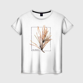 Женская футболка 3D с принтом Pinus Sylvestris в Новосибирске, 100% полиэфир ( синтетическое хлопкоподобное полотно) | прямой крой, круглый вырез горловины, длина до линии бедер | абстракция | авторская работа | ботаническая иллюстрация | деревья | иллюстрации | минимализм | сосна | цветы