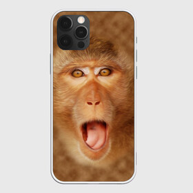 Чехол для iPhone 12 Pro Max с принтом Обезьяна в Новосибирске, Силикон |  | Тематика изображения на принте: голова | животные | мартышка | мордочка | обезьяна | открытый | прикол | природа | рот | юмор