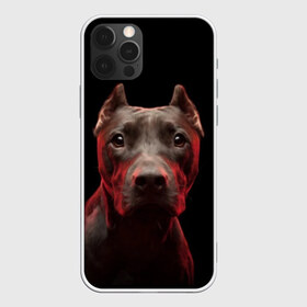 Чехол для iPhone 12 Pro Max с принтом Стафф в Новосибирске, Силикон |  | амстафф | голова | животные | мордочка | природа | собака | стафф | стаффордширский терьер