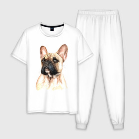 Мужская пижама хлопок с принтом Французский бульдог в Новосибирске, 100% хлопок | брюки и футболка прямого кроя, без карманов, на брюках мягкая резинка на поясе и по низу штанин
 | Тематика изображения на принте: bulldog | dog | бульдог | собака | собаки | французский бульдог