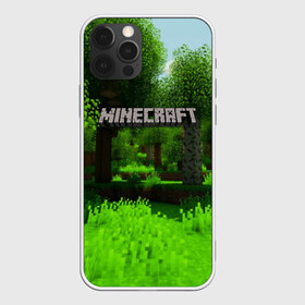 Чехол для iPhone 12 Pro Max с принтом MINECRAFT в Новосибирске, Силикон |  | blade | blocks | creeper | cubes | game | ken | mine craft | minecraft | mobs | sword | игры | крипер | майн крафт | майнкрафт | моб