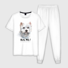 Мужская пижама хлопок с принтом Вест-хайленд-уайт-терьер в Новосибирске, 100% хлопок | брюки и футболка прямого кроя, без карманов, на брюках мягкая резинка на поясе и по низу штанин
 | dog | highland | terrier | west | white | вест | собака | собаки | терьер | уайт | хайленд