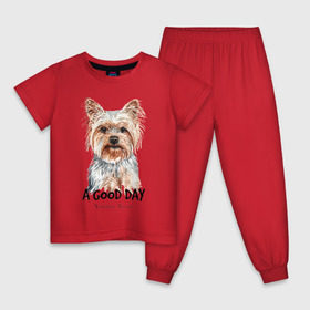 Детская пижама хлопок с принтом Йоркширский терьер в Новосибирске, 100% хлопок |  брюки и футболка прямого кроя, без карманов, на брюках мягкая резинка на поясе и по низу штанин
 | Тематика изображения на принте: yorkshire terrier | йорк | йорки | йоркширский | йоркширский терьер | собака | собаки | терьер