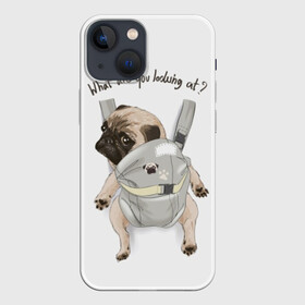 Чехол для iPhone 13 mini с принтом Мопс в рюкзаке в Новосибирске,  |  | background | backpack | breed | brown | color | cute | dog | funny | gray | look | muzzle | paws | pug | puppy | slogan | small | trace | white | белый | взгляд | коричневый | лапы | маленький | милый | мопс | пес | порода | прикольный | рюкзак | 