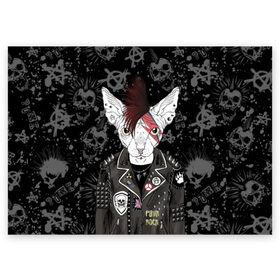 Поздравительная открытка с принтом Кот в косухе в Новосибирске, 100% бумага | плотность бумаги 280 г/м2, матовая, на обратной стороне линовка и место для марки
 | anarchy | breed | cat | clothes | cool | hairstyle | icon | jacket | kote | mohawk | muzzle | piercing | punk | riveting | rock | skull | sphinx | spikes | tattoo | анархия | значок | ирокез | к | клепки | кот | котик | котэ | круто | куртка | оде