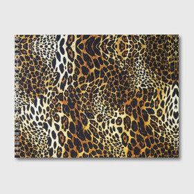 Альбом для рисования с принтом Шкура леопарда в Новосибирске, 100% бумага
 | матовая бумага, плотность 200 мг. | Тематика изображения на принте: animal | cheeky | dangerous | leopard | nature | pattern | predator | skin | spots | wild | дерзкий | дикий | животное | леопард | опасный | природа | пятна | узор | хищник