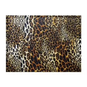 Обложка для студенческого билета с принтом Шкура леопарда в Новосибирске, натуральная кожа | Размер: 11*8 см; Печать на всей внешней стороне | animal | cheeky | dangerous | leopard | nature | pattern | predator | skin | spots | wild | дерзкий | дикий | животное | леопард | опасный | природа | пятна | узор | хищник