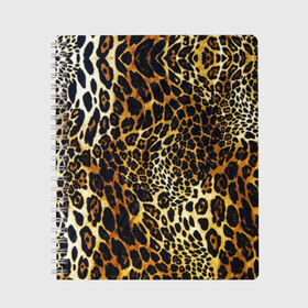 Тетрадь с принтом Шкура леопарда в Новосибирске, 100% бумага | 48 листов, плотность листов — 60 г/м2, плотность картонной обложки — 250 г/м2. Листы скреплены сбоку удобной пружинной спиралью. Уголки страниц и обложки скругленные. Цвет линий — светло-серый
 | Тематика изображения на принте: animal | cheeky | dangerous | leopard | nature | pattern | predator | skin | spots | wild | дерзкий | дикий | животное | леопард | опасный | природа | пятна | узор | хищник