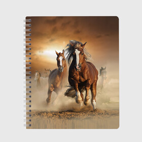 Тетрадь с принтом Бегущие лошади в Новосибирске, 100% бумага | 48 листов, плотность листов — 60 г/м2, плотность картонной обложки — 250 г/м2. Листы скреплены сбоку удобной пружинной спиралью. Уголки страниц и обложки скругленные. Цвет линий — светло-серый
 | Тематика изображения на принте: animal | color | dust | hooves | horse | mane | mustang | muzzle | nature | sky | speed | грива | животное | конь | копыта | лошадь | мустанг | небо | окрас | природа | пыль | скакун | скорость