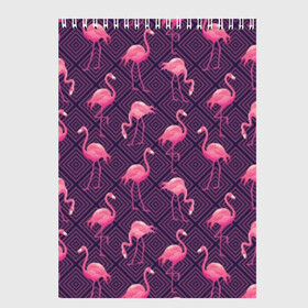 Скетчбук с принтом Фламинго в Новосибирске, 100% бумага
 | 48 листов, плотность листов — 100 г/м2, плотность картонной обложки — 250 г/м2. Листы скреплены сверху удобной пружинной спиралью | Тематика изображения на принте: abstraction | beak | bird | fauna | feathers | flamingo | flora | geometry | happiness | nature | pink | purple | tropical | tropics | абстракция | геометрия | клюв | перья | природа | птица | розовый | счастье | тропики | тропический | фауна | фиолетовый