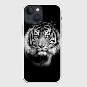 Чехол для iPhone 13 mini с принтом Тигр в Новосибирске,  |  | animal | beautiful | black | cool | fangs | fauna | mustache | muzzle | nature | photo | predator | striped | tiger | view | white | wild | wool | белый | взгляд | дикий | животное | клыки | красивый | круто | полосатый | природа | тигр | усы | фа