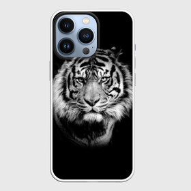 Чехол для iPhone 13 Pro с принтом Тигр в Новосибирске,  |  | Тематика изображения на принте: animal | beautiful | black | cool | fangs | fauna | mustache | muzzle | nature | photo | predator | striped | tiger | view | white | wild | wool | белый | взгляд | дикий | животное | клыки | красивый | круто | полосатый | природа | тигр | усы | фа