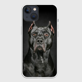 Чехол для iPhone 13 с принтом Питбуль в Новосибирске,  |  | animal | black | breed | bull | combat | dog | ears | eyes | image | muzzle | nose | pit bull | portrait | боевой | бугай | глаза | животное | изображение | нос | пес | питбуль | порода | портрет | псина | собака | уши | черный